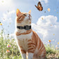Collier Caméra 1080P pour Chats et Petits Chiens