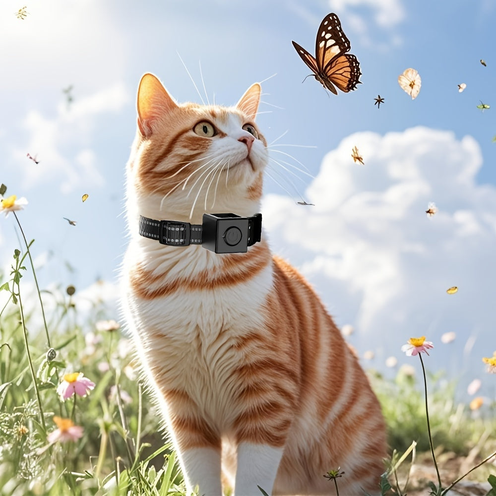 Collier Caméra 1080P pour Chats et Petits Chiens