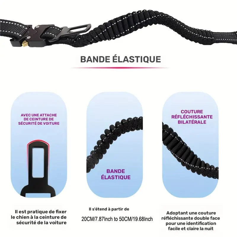 Laisse Mains Libres avec Boucle pour Voiture pour Chien