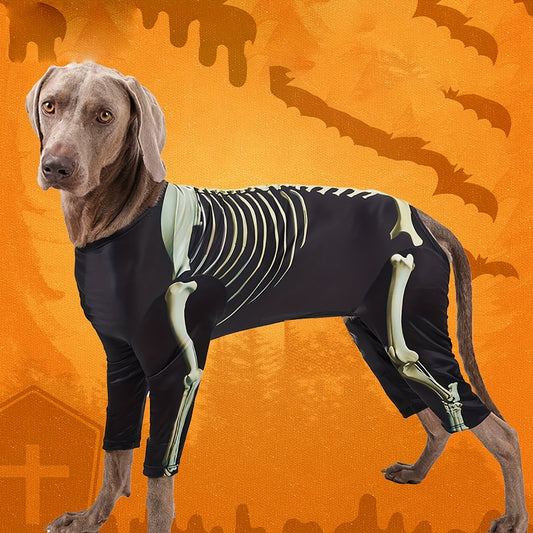 Costume Squelette Halloween pour Chiens