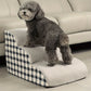 Rampe en mousse pour Animaux