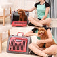 Caisse de transport pliable pour chat