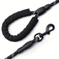 Laisse Corde pour petit, moyen et grand Chien