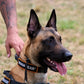 Collier Étrangleur en Corde tressée ajustable pour Chien