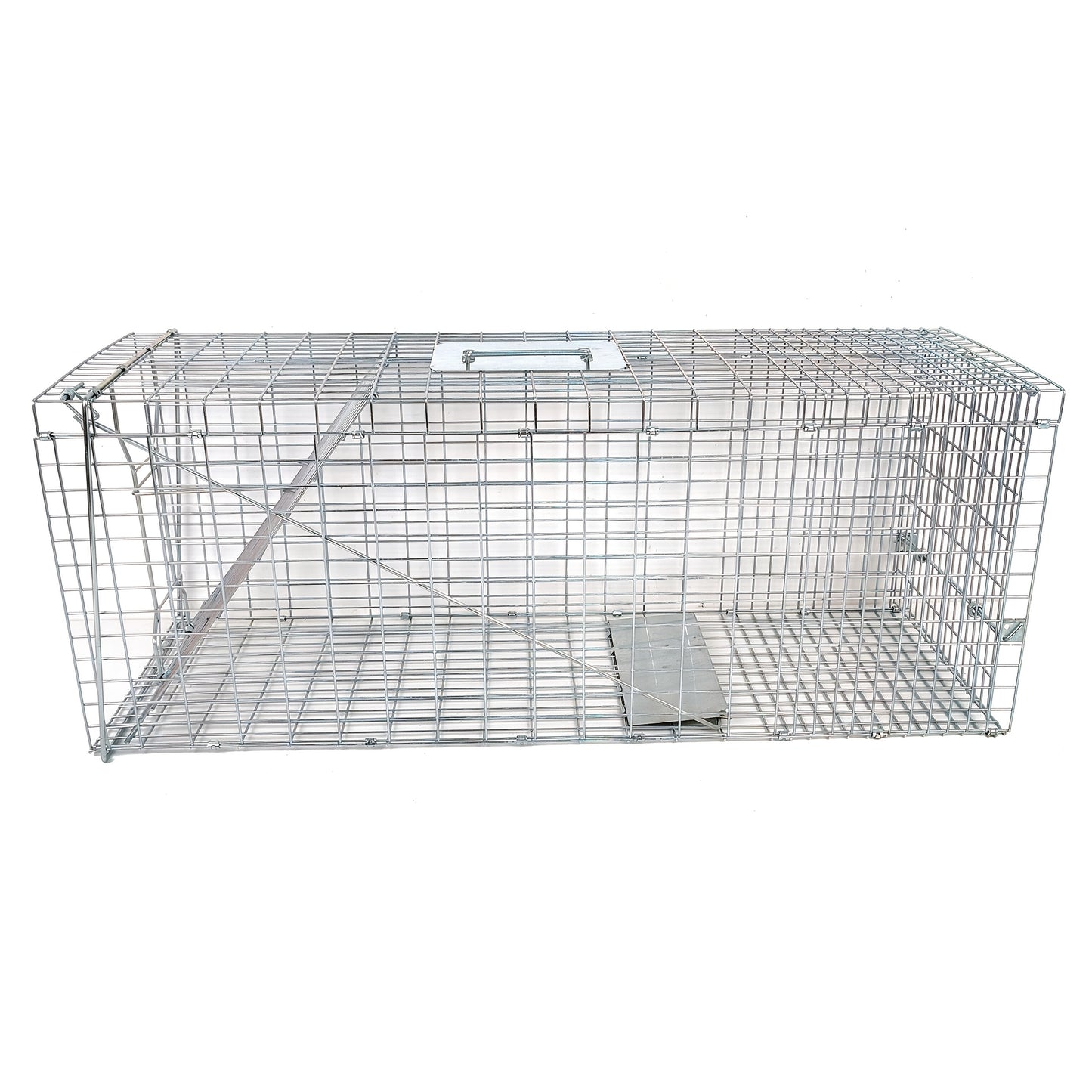 Cage de Capture et Transport Pliable pour Animaux – Grand Modèle