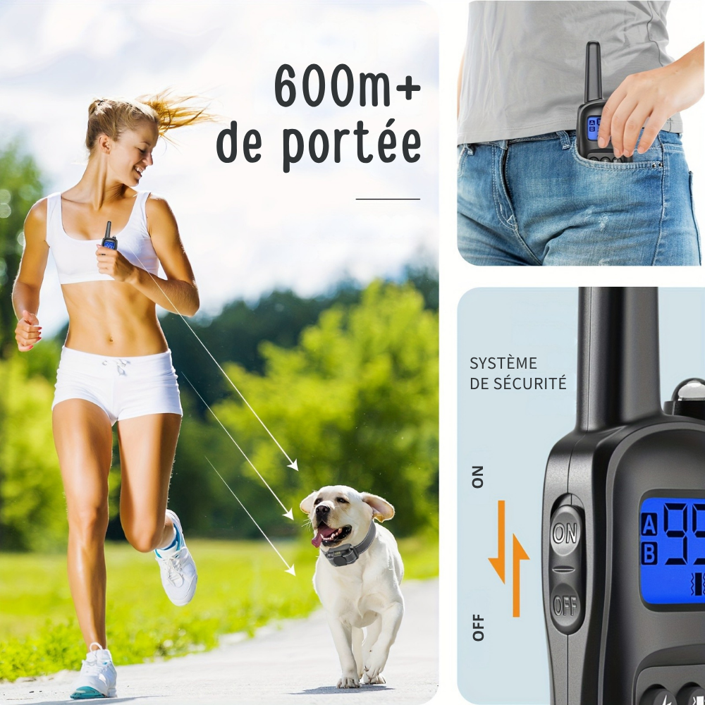 Collier de Dressage à Vibration avec Télécommande – 3 modes, lumière intégrée