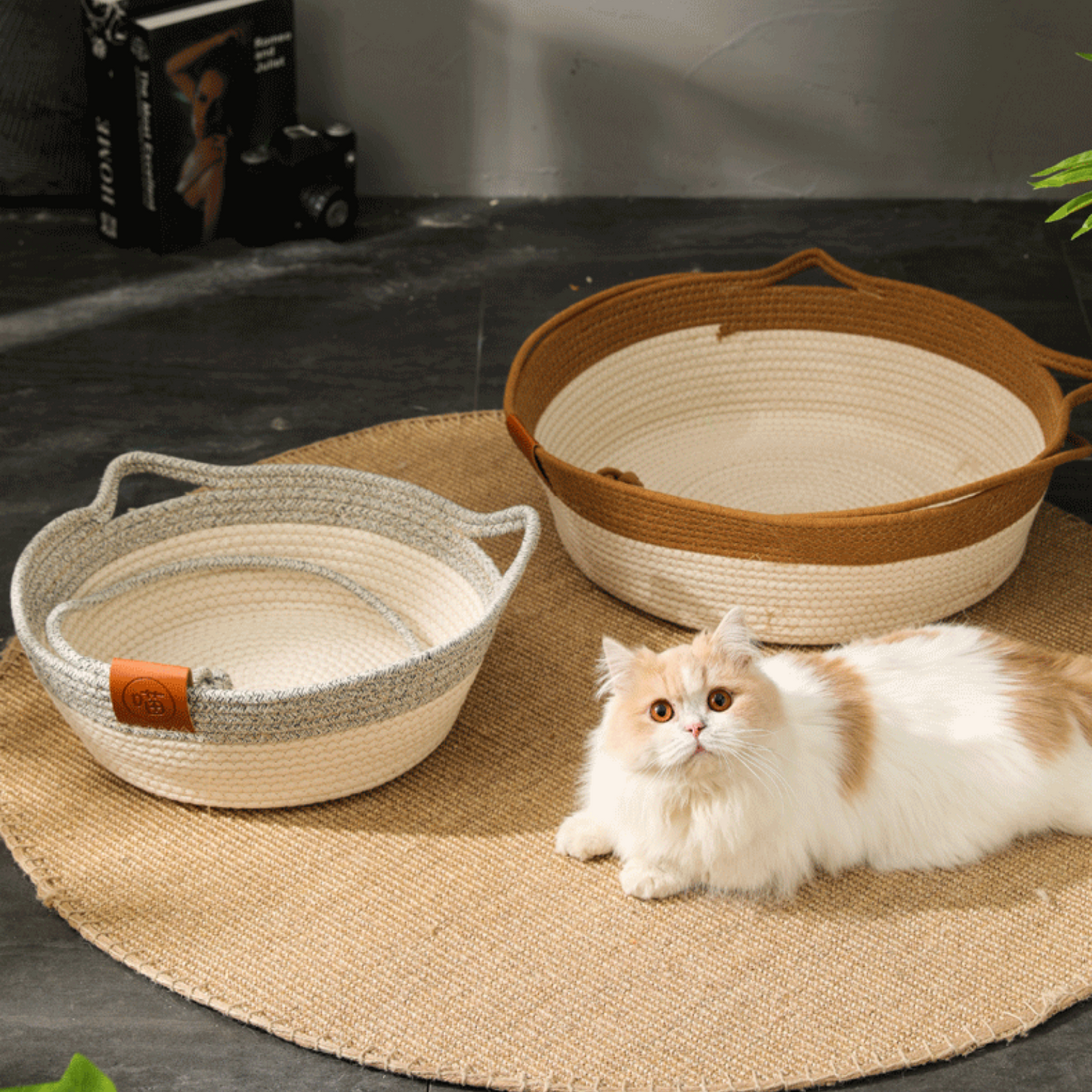 Panier Tressé Confort pour Chat – Design Oreilles & Queue