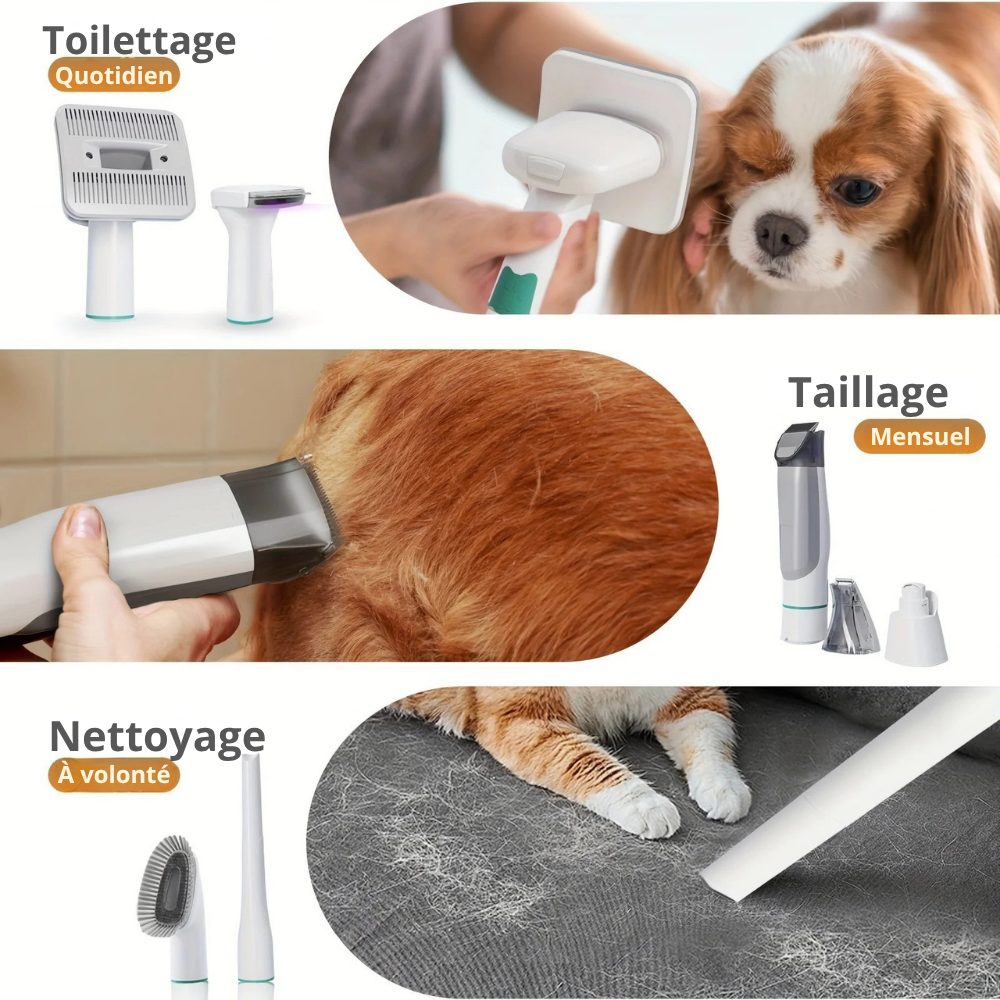 Aspirateur de Toilettage pour Animaux – Kit Complet Multifonction