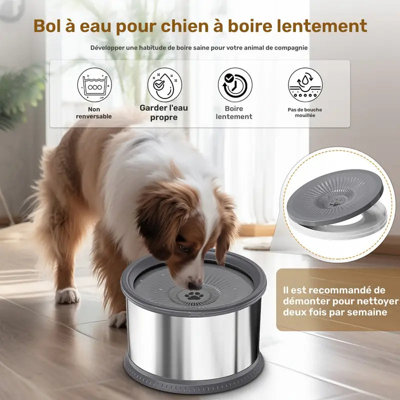 Gamelle anti-éclaboussures pour chien et chat