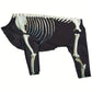 Costume Squelette Halloween pour Chiens