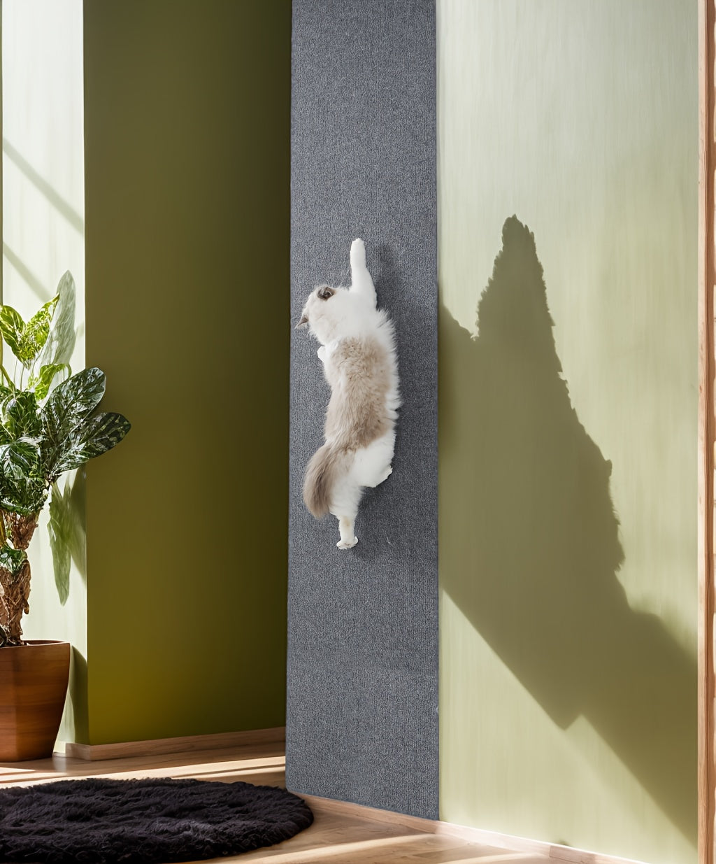 Protection anti-griffes adhésive pour canapé, visuel produit