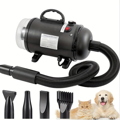 Pulseur Professionnel Silencieux – 4 Embouts & Tuyau 2,5 m