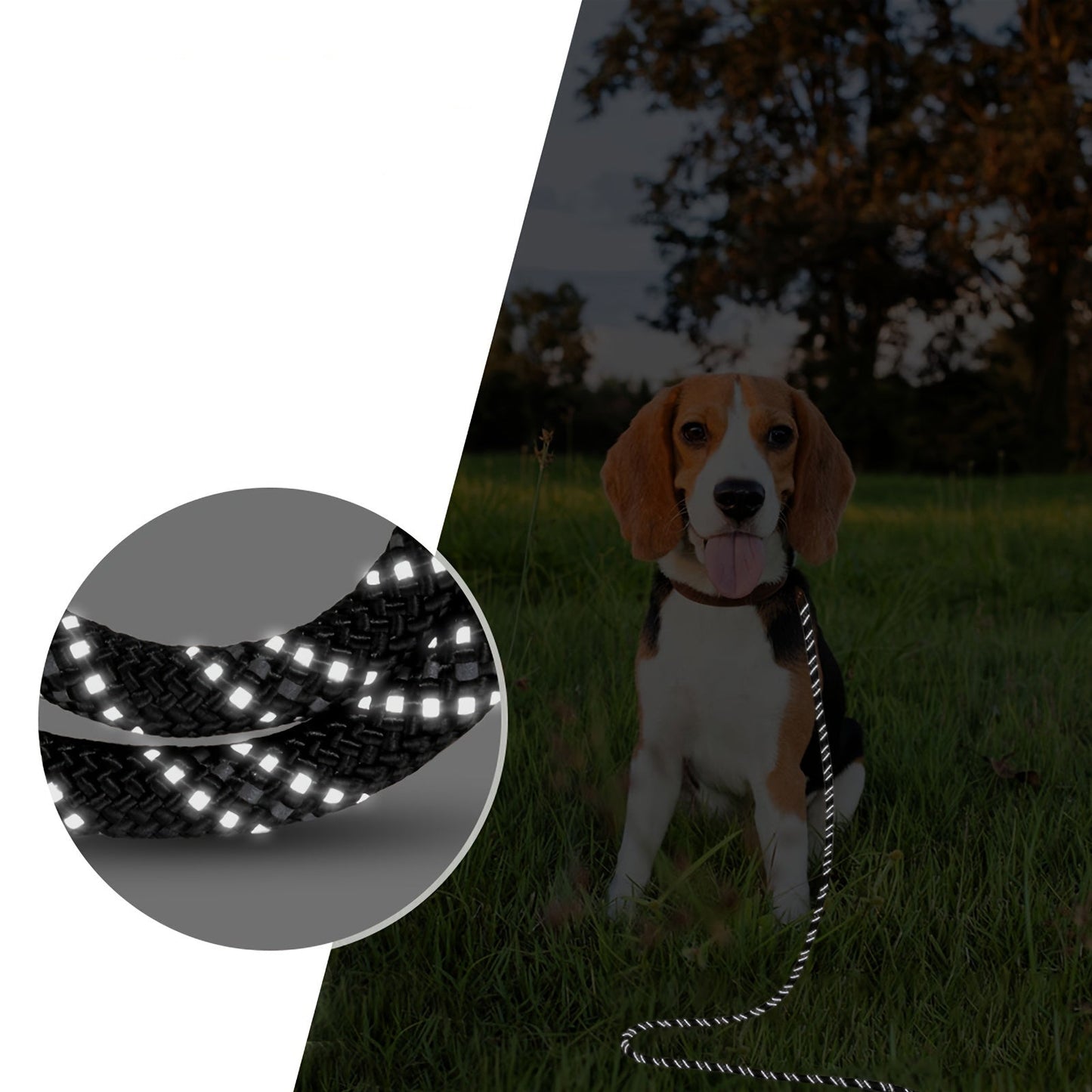Laisse Longe en Corde Réfléchissante pour Chien