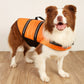 Gilet de Sauvetage Réfléchissant pour Chiens de Toutes Tailles