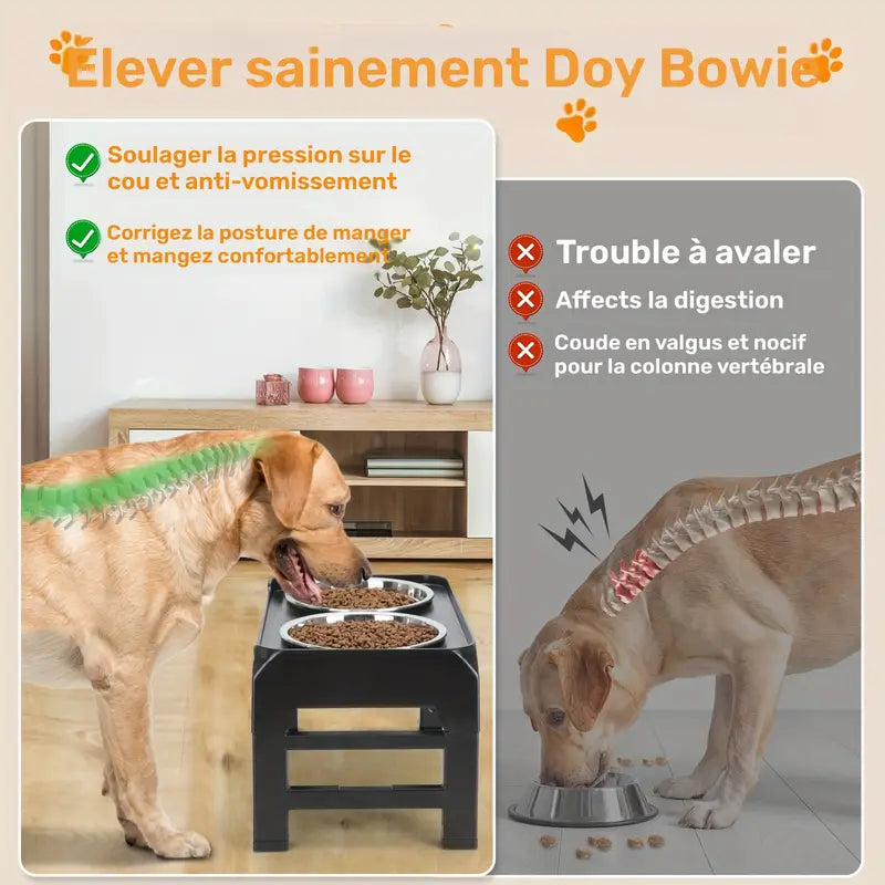 Gamelle surélevée ajustable avec double bol inox pour chien