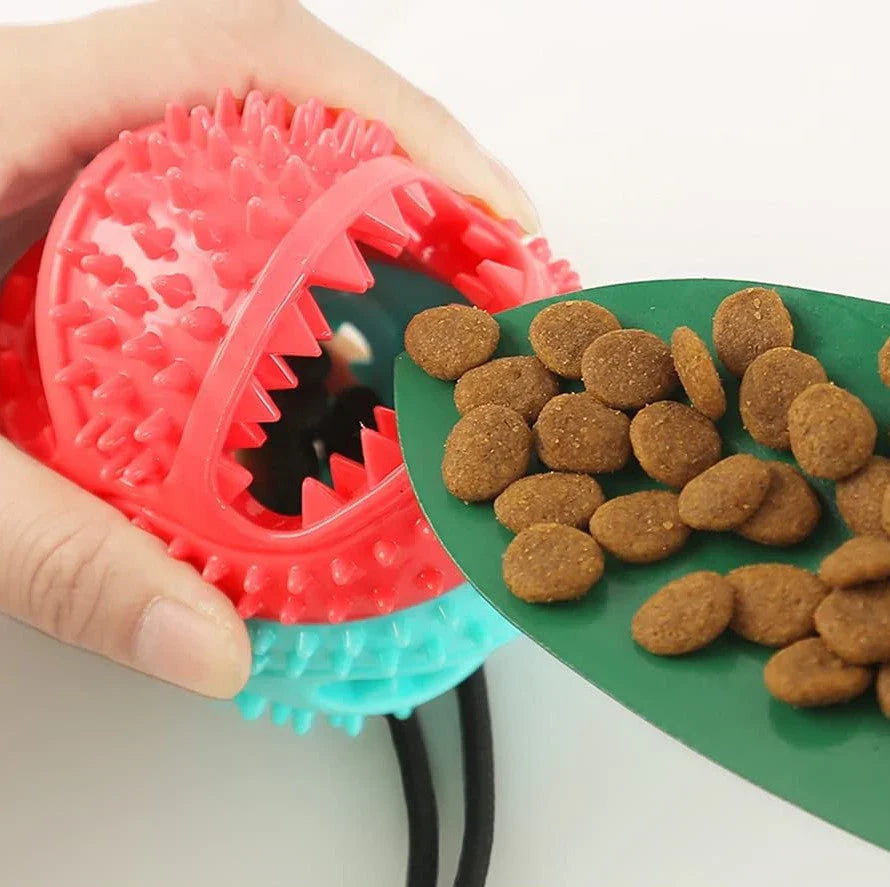Jouet à tirer PowerPaw pour chien – Résistant & interactif