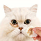Disques Nettoyants Ronds pour Yeux et Oreilles Chats & Chiens