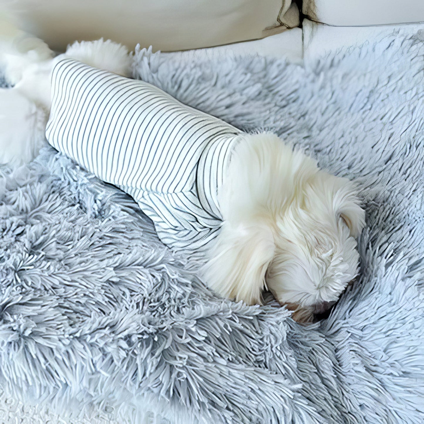 Couverture Polaire Ultra-Douce pour Chien – Confort & Chaleur