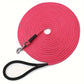 Longe d'Entraînement en Nylon pour Chien - 5M / 10M / 15M