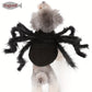Costume Araignée d’Halloween pour Chats et Petits Chiens