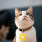 Médaillon Marguerite décoratif pour collier de Chien ou Chat