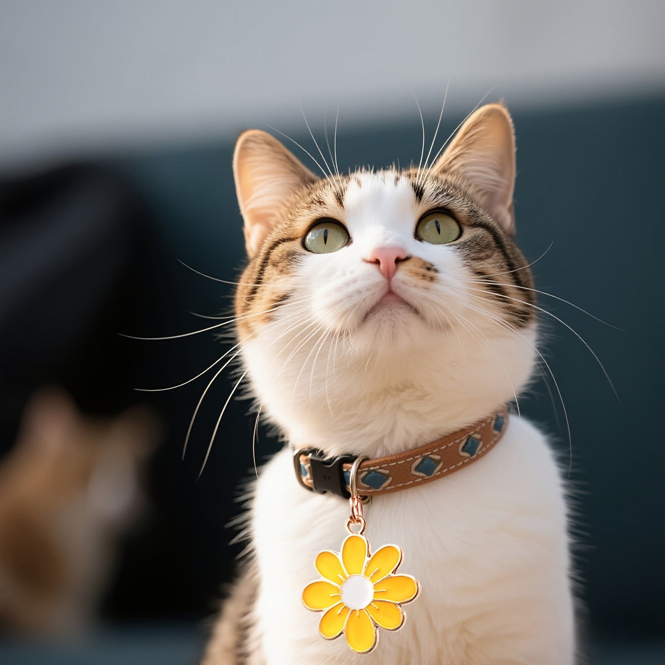 Médaillon Marguerite décoratif pour collier de Chien ou Chat