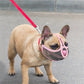 Muselière Ajustable en Maille Respirante pour Bouledogue