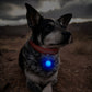 Pendentif lumineux rond pour collier de Chien ou Chat