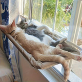 Hamac de Fenêtre Confortable pour Chat en PVC