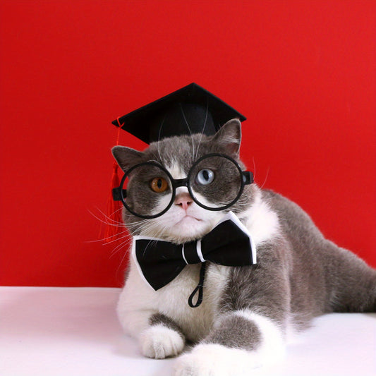 Déguisement de Remise de Diplôme pour Chat – Chapeau, Lunettes et Nœud Papillon