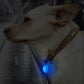 Pendentif lumineux rond pour collier de Chien ou Chat