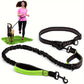 Laisse Elastique Mains Libres pour Chien