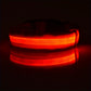 Collier lumineux ajustable pour Chien - sécurité de nuit