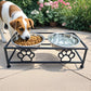 Support en fer avec doubles gamelles inox pour chien