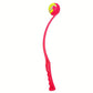 Lanceur de Balle Sport pour Chien – 50 cm