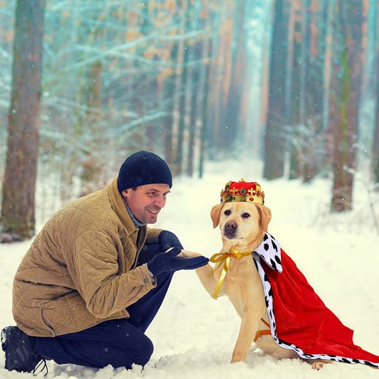 Costume Royal avec Cape et Couronne pour Chiens Moyens