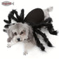 Costume Araignée d’Halloween pour Chats et Petits Chiens
