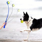 Lanceur de Balle Sport pour Chien – 50 cm