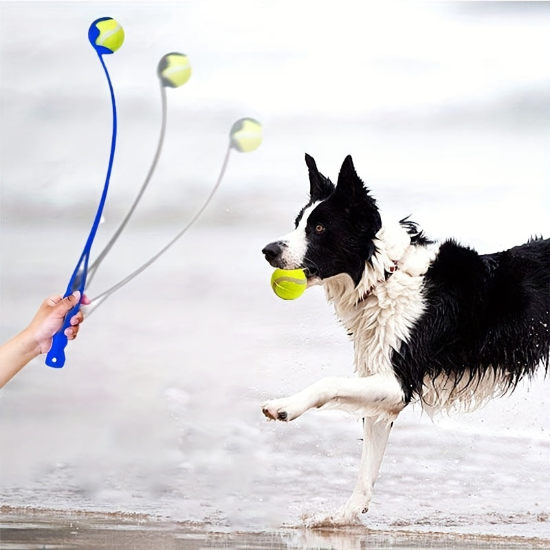 Lanceur de Balle Sport pour Chien – 50 cm