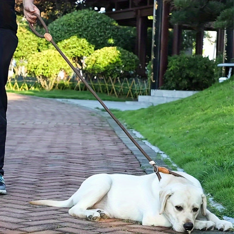 Laisse Lasso 1,5M/1,8M pour Chien