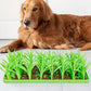 Tapis de fouille herbe verte pour Chien et Chat