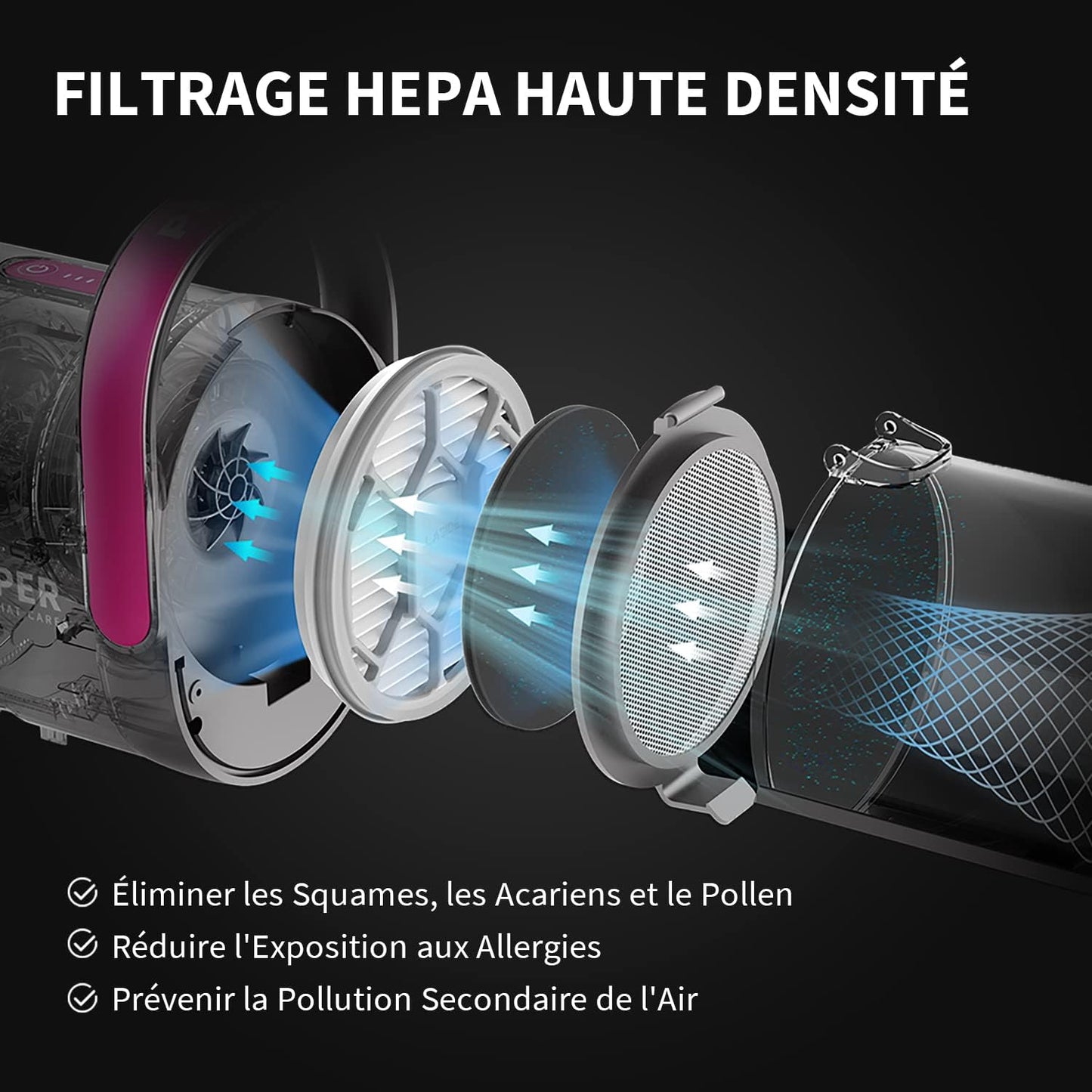 Kit de Toilettage pour Chiens avec Aspirateur