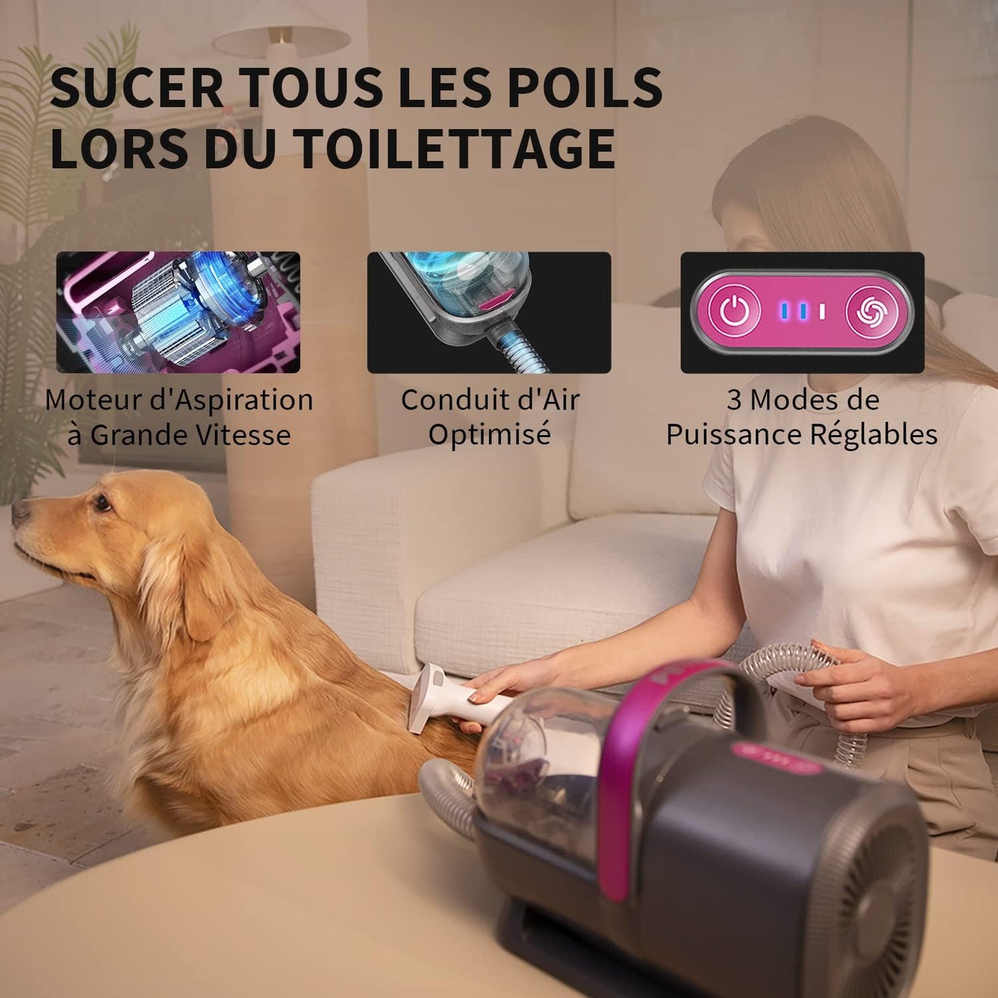 Kit de Toilettage pour Chiens avec Aspirateur