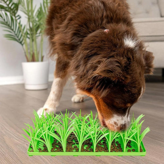 Tapis de fouille herbe verte pour Chien et Chat