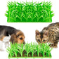 Tapis de fouille herbe verte pour Chien et Chat