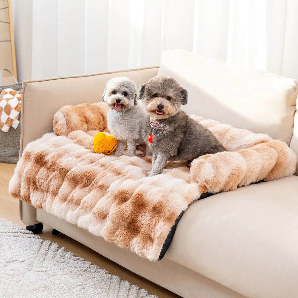 Lit Canapé Douillet pour Chien – Protection & Confort Luxueux