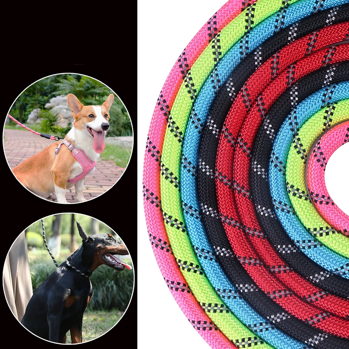 Laisse Corde pour petit, moyen et grand Chien