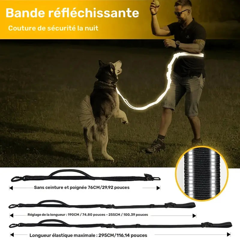 Laisse Mains Libres avec Boucle pour Voiture pour Chien