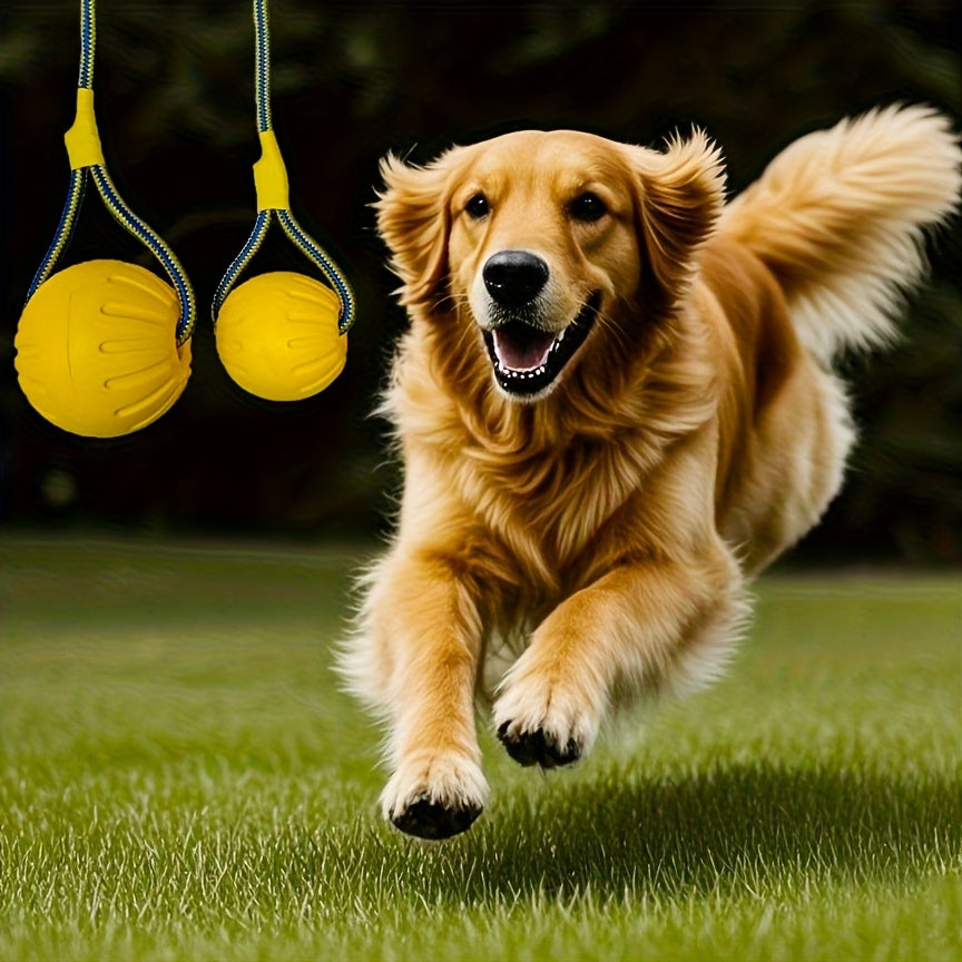 Jouet à Mâcher Flottant avec Corde pour Chien