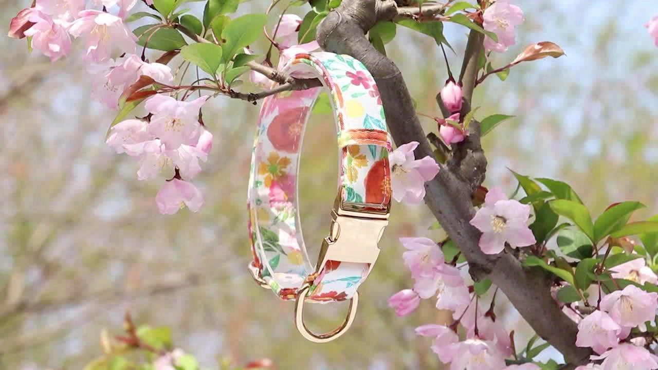 Collier Fleuri (fleur amovible) pour Chien